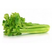 Fresh celery 250x250